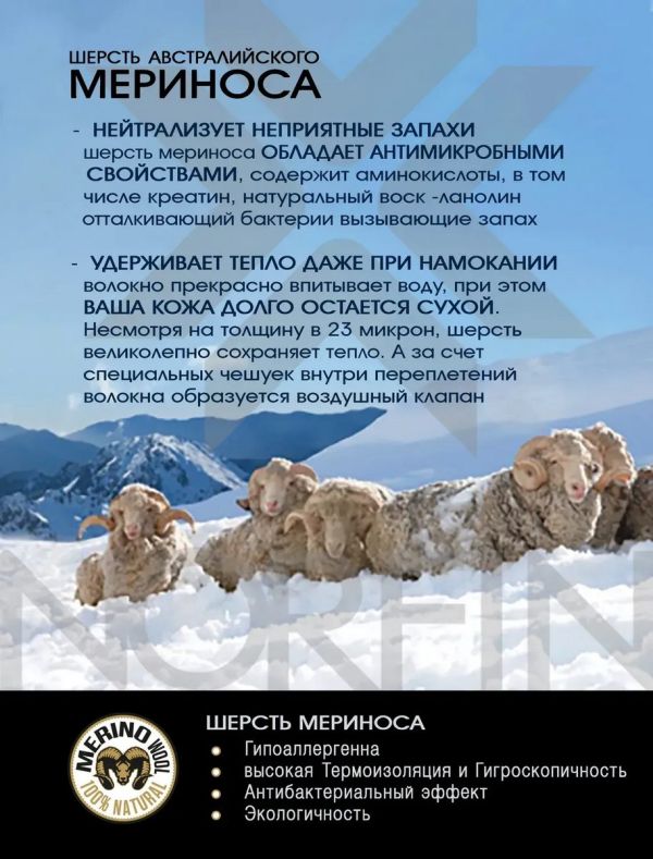 Шкарпетки Norfin T4A Arctic Merino Crew