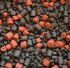 Пеллетс Carpio Hi-Protein Mix - Гранули Ø6-12 мм