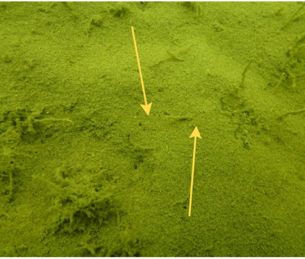 Поводочний матеріал м'який флюорокарбоновий Fox Illusion Soft - Hooklink - Trans Khaki - 50 м