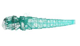 Раколовка - Кордова нитка посилена (15 ниток) - Вічко 20 мм - 21 вхід - 26x38 - Зелена - 8 м