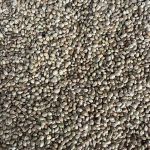 Семена конопли отборные (посадочная) - 0,9 кг